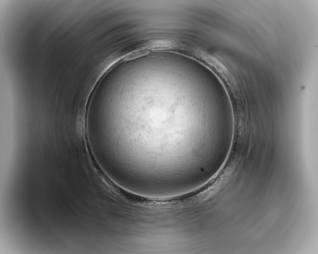X0000093731473200710161108