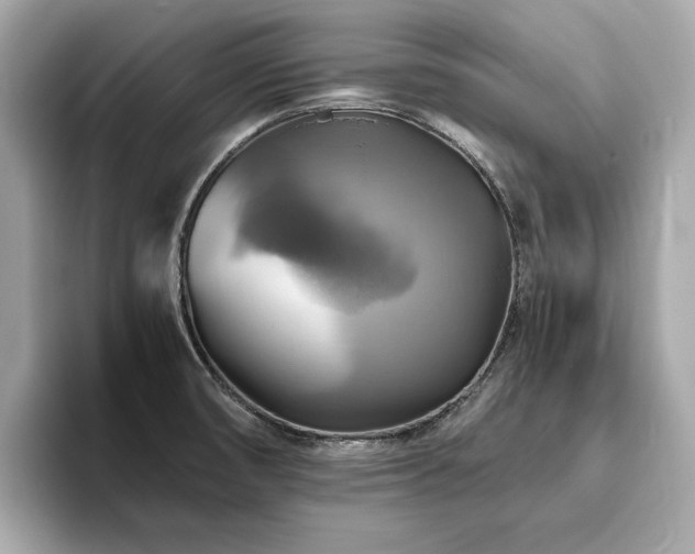 X0000093731474200710161107