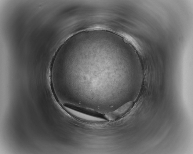 X0000093731476200710161107