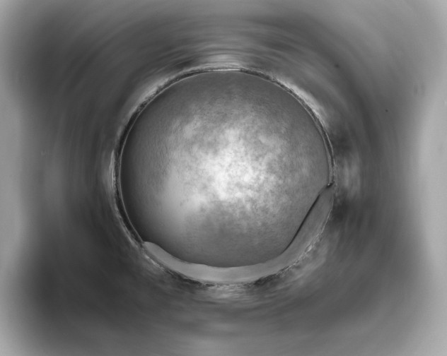 X0000093731477200710161107