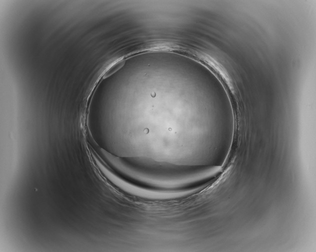 X0000093731481200710161107