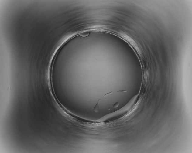 X0000093731482200710161107