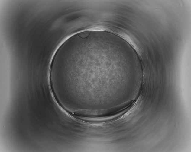 X0000093731484200710161107