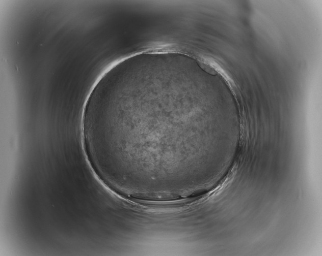 X0000093731487200710161107