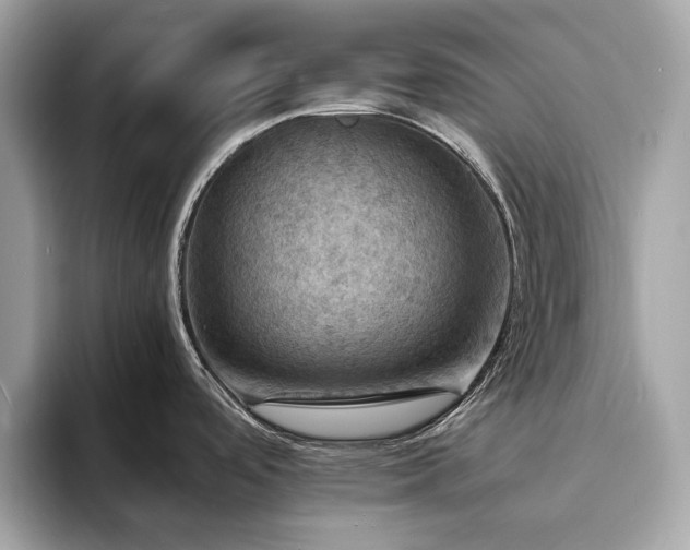 X0000093731488200710161107