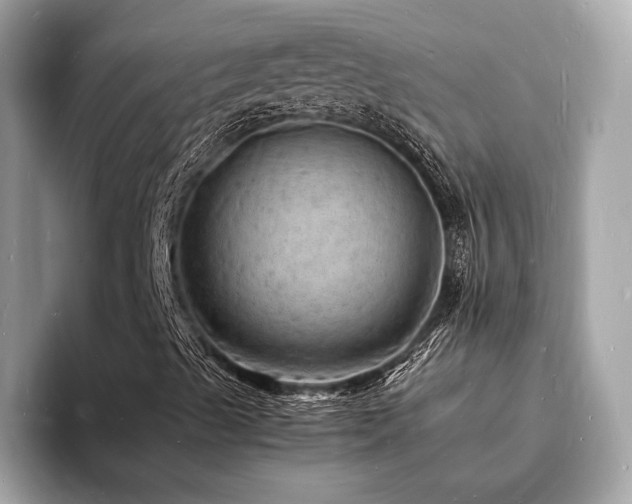 X0000093731489200710161107