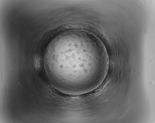 X0000093731490200710161107