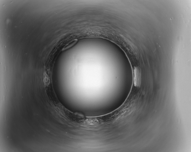 X0000093731491200710161107