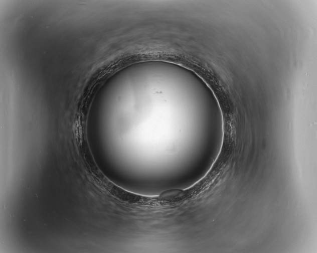 X0000093731493200710161107
