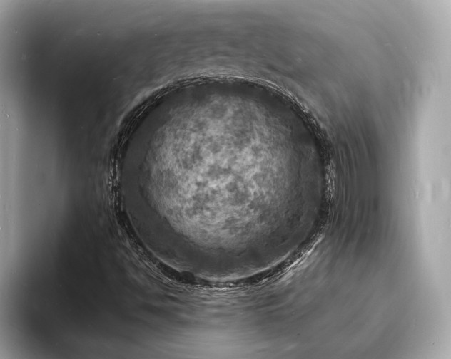X0000093731494200710161107