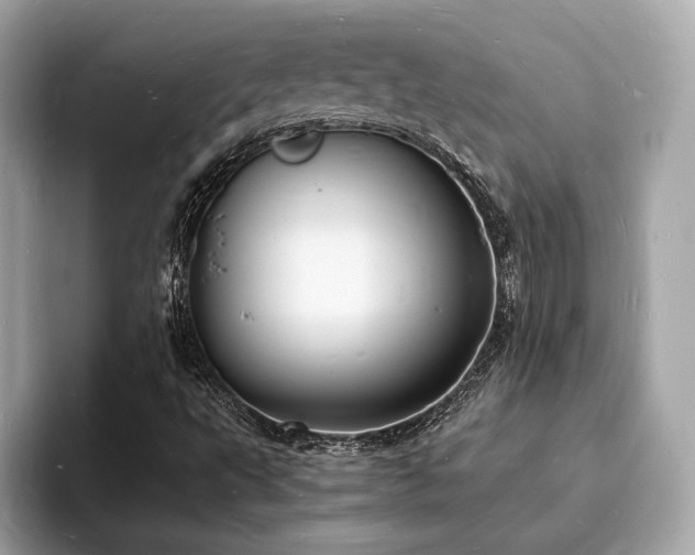 X0000093731495200710161107