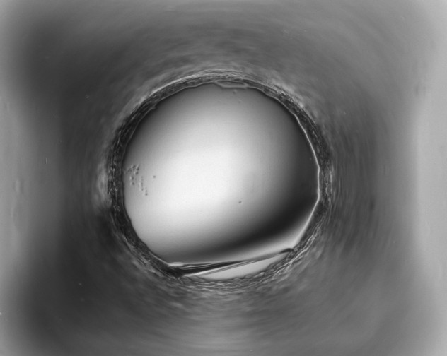 X0000093731496200710161107