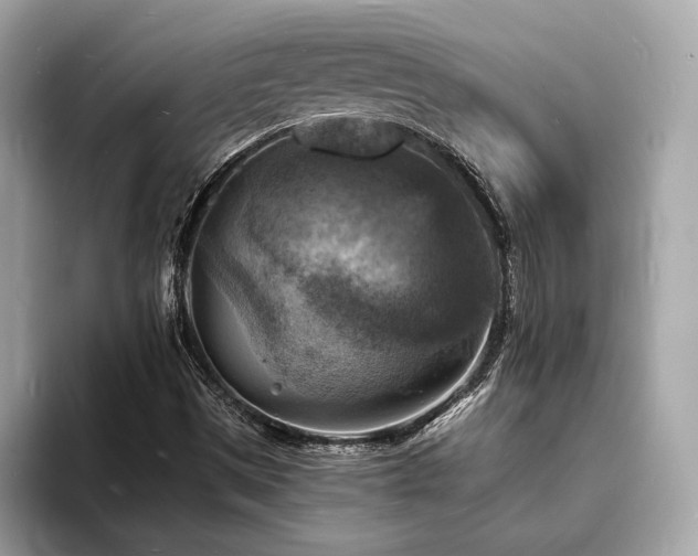 X0000093731497200710161107