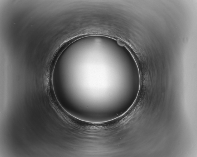 X0000093731499200710161107