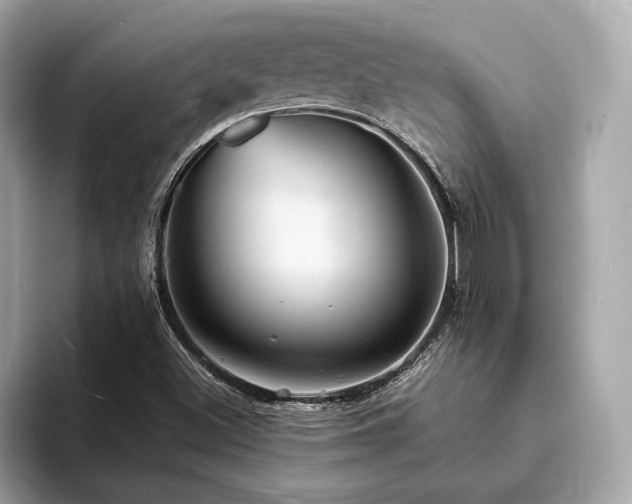 X0000093731500200710161107