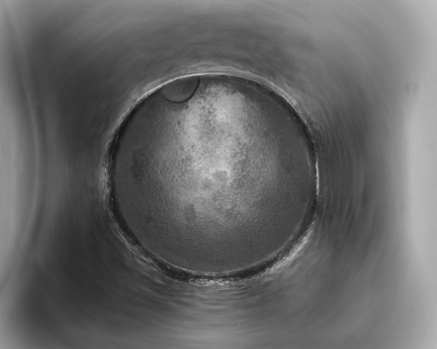 X0000093731501200710161107