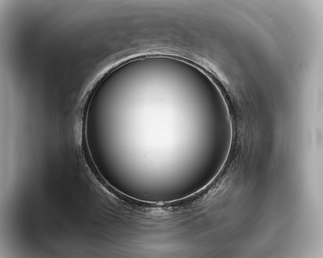 X0000093731504200710161107