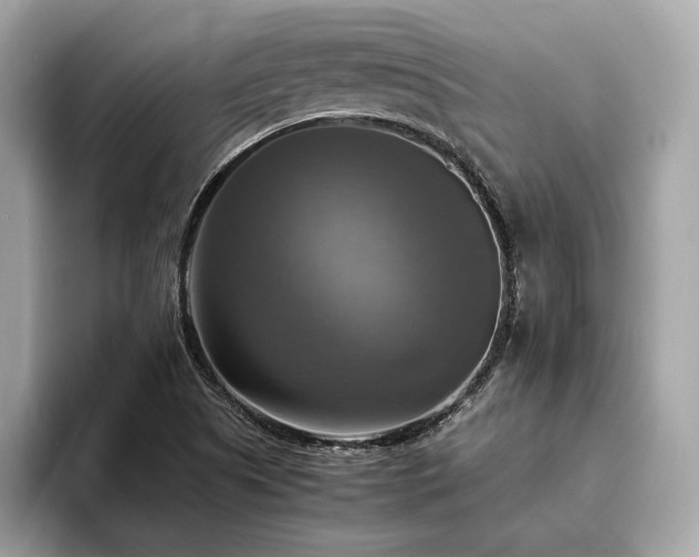 X0000093731505200710161107
