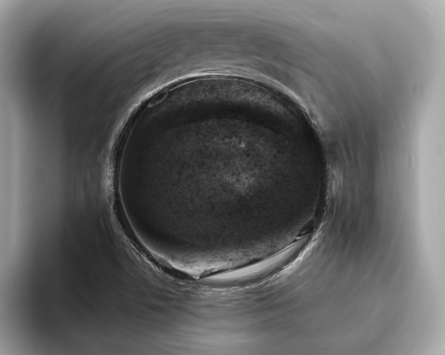 X0000093731506200710161107