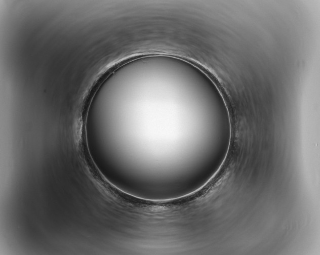 X0000093731507200710161107