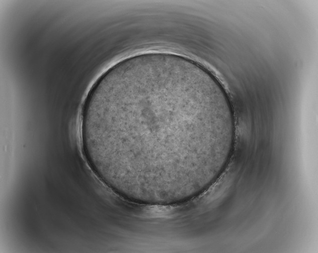 X0000093731514200710161107