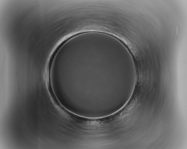 X0000093731515200710161107