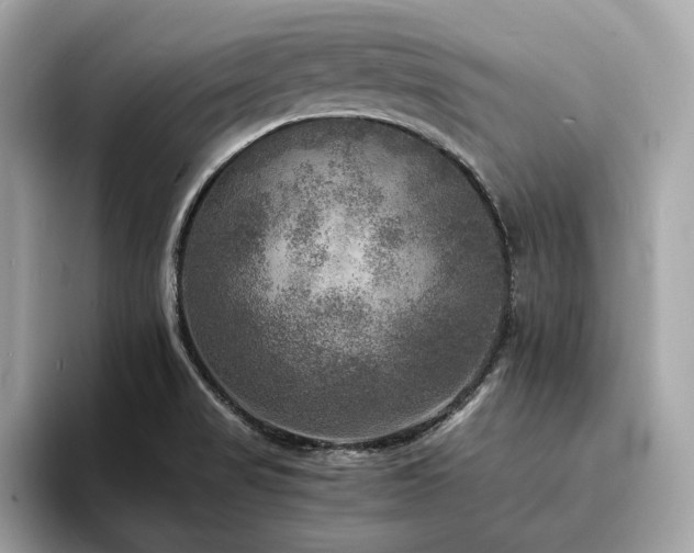 X0000093731517200710161107