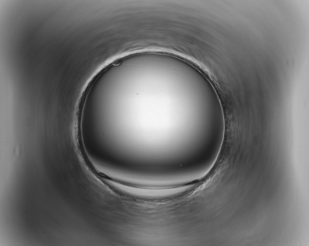 X0000093731518200710161107