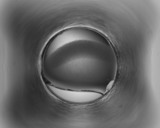 X0000093731519200710161107