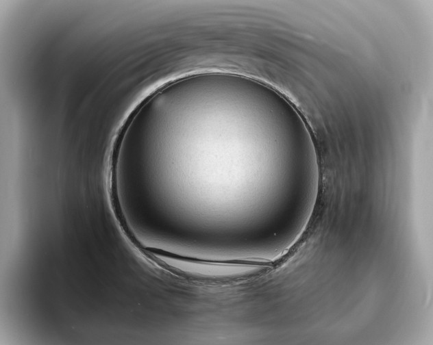 X0000093731523200710161107