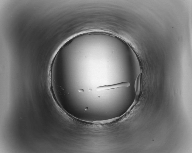 X0000093731524200710161107