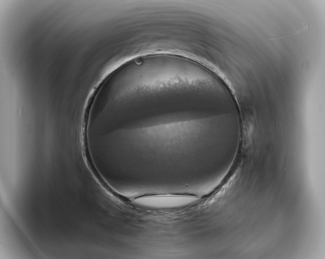 X0000093731525200710161107