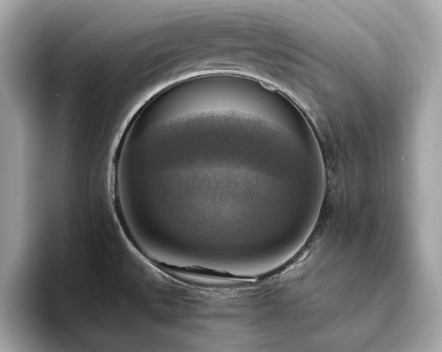 X0000093731527200710161107