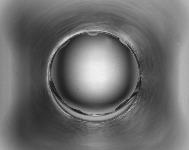 X0000093731528200710161107