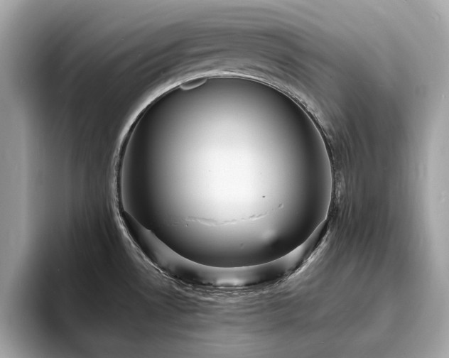X0000093731530200710161107