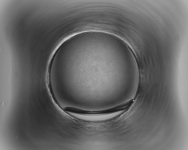 X0000093731531200710161107