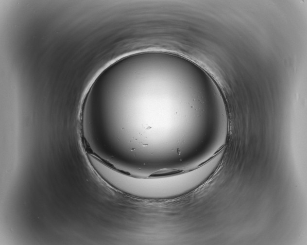 X0000093731532200710161107