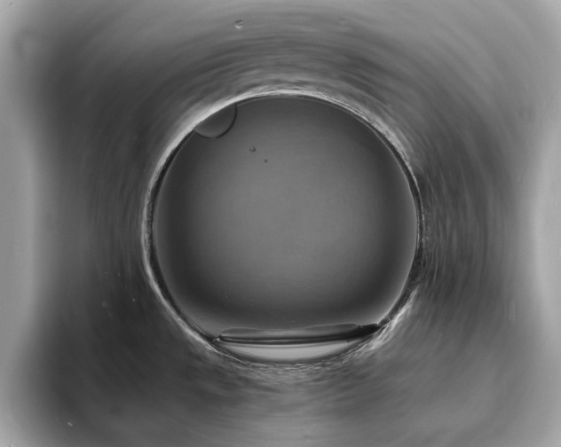 X0000093731533200710161107