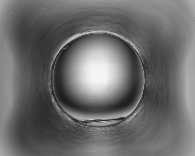 X0000093731534200710161107