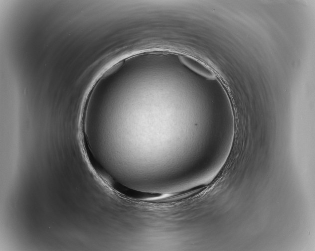 X0000093731536200710161107