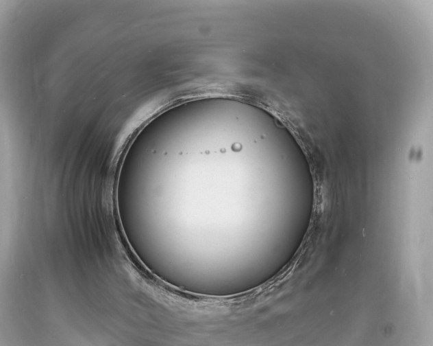 X0000093730004200710231200