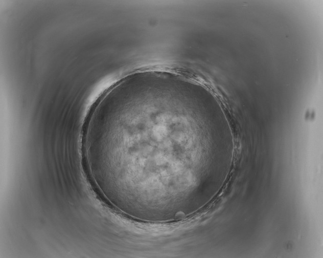 X0000093730006200710231200