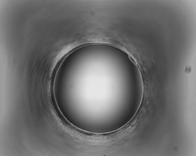 X0000093730008200710231200
