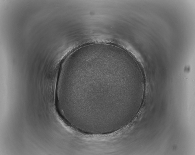 X0000093730009200710231200