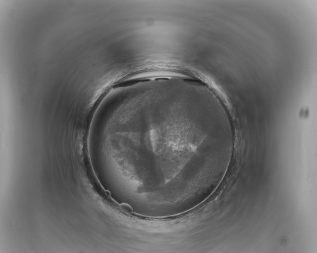 X0000093730010200710231200