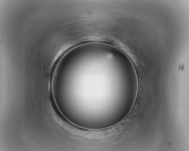 X0000093730011200710231200