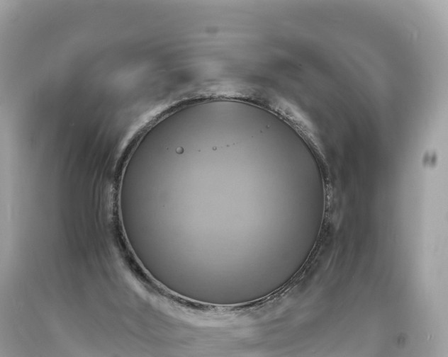 X0000093730012200710231200