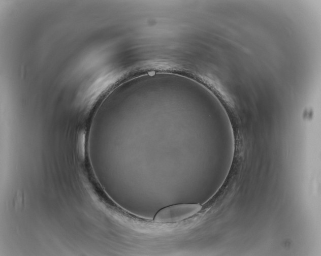 X0000093730014200710231200
