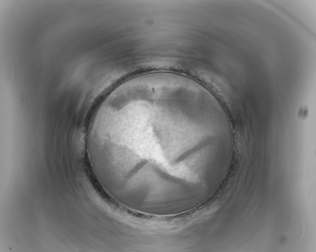X0000093730016200710231200