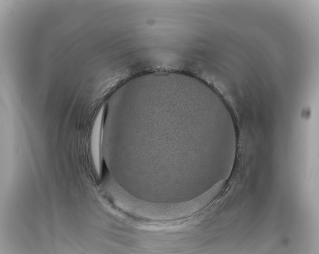 X0000093730017200710231200
